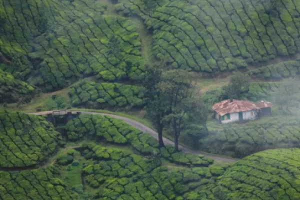 Munnar